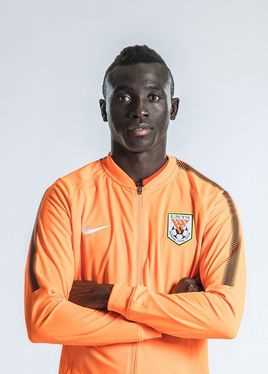  帕皮斯·西塞(Papiss Demba Cisse)